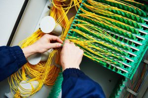 Expert installing multiple fibre cable