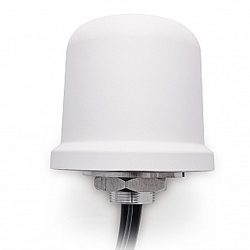 CELLULAR/LTE MIMO