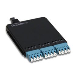 CoreLink EHD MTP« Cassette: 12F Male MTP to LCQ, OM3 - Method A/C