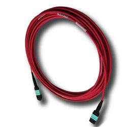 MTP®Cable Assemblies