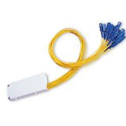 OCM6-SP11GS2-61CI1
