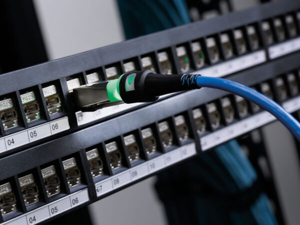 LanTEK IV-S 500MHz (with PL/CH adapters) - Image 3