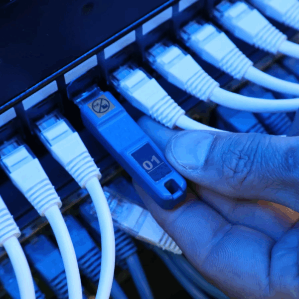 SignalTEK QT - Image 6